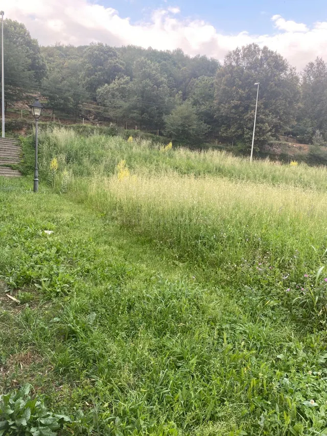 TERRENO EN VENDA