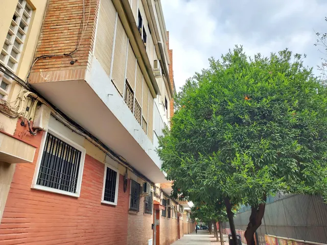 MACARENA-RONDA DE PÍO XII. Piso con reformas de 3 dormitorios — 33