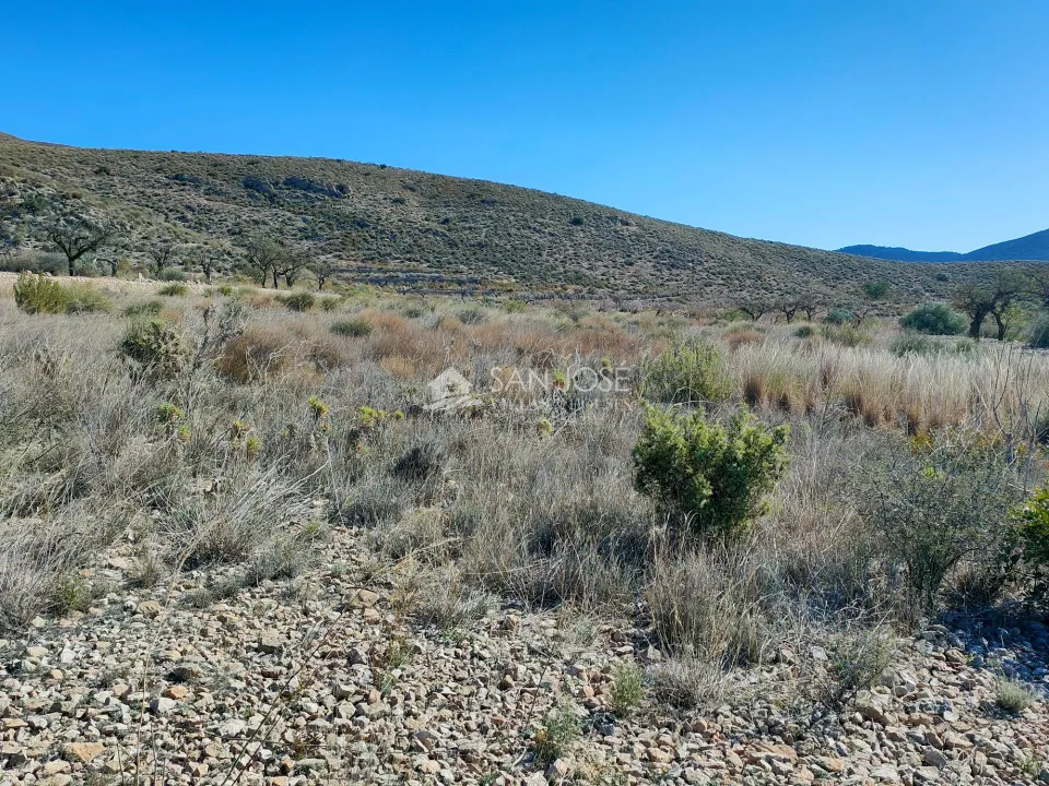 SE VENDE PARCELA EN LA SOLANA DE HONDON DE LOS FRAILES