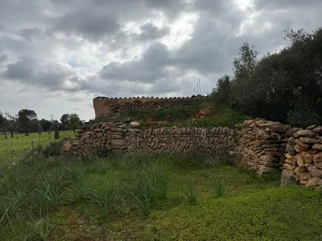 Terreno rústico de 38.493 m2 edificables en Llucmajor — 6