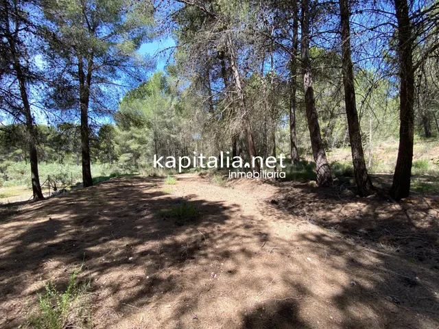 En Venta/Disponible: Finca Rústica en L'Olleria (Zona Barran - foto 3