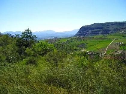 Autentico Cortijo reformado y ahora un exitoso centro de retiro — 41
