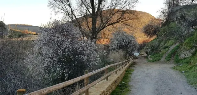Finca rústica 7 habitaciones 443m² en venta - Andalucia — 41