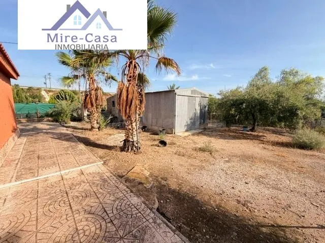 SE VENDE CHALET EN PARTIDA DEL BOCH, MUY CERCA DE ELCHE Y CR - foto 4