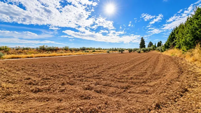 Parcela rústica de 4.824 m2 en Llanos de Moraleda, Moraleda de Zafayona — 11