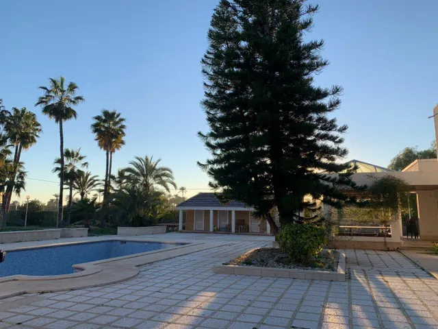 Chalet en Alquiler en Elche, zona Alzabares. — 22