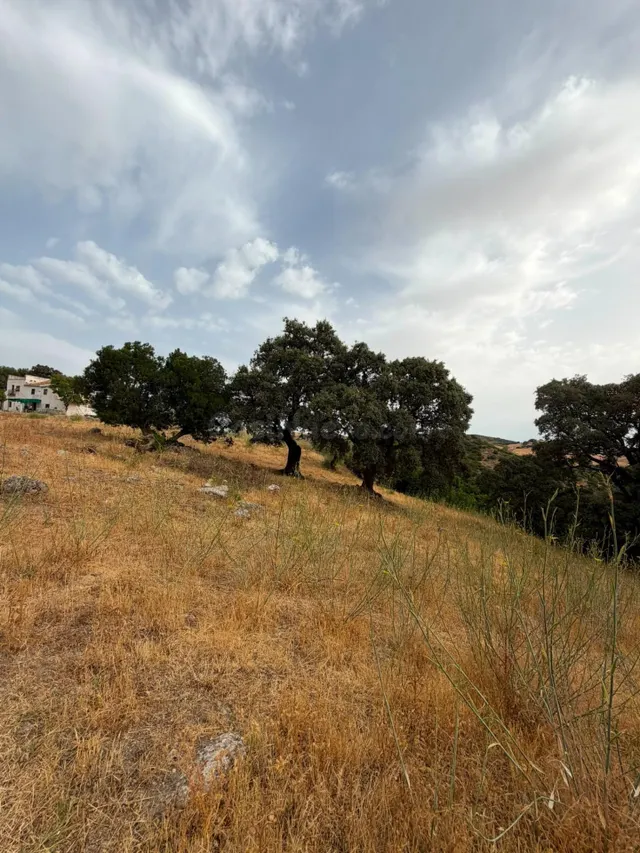 Terreno Rústico de 35 fanegas en FINCA LA SERENA! — 6