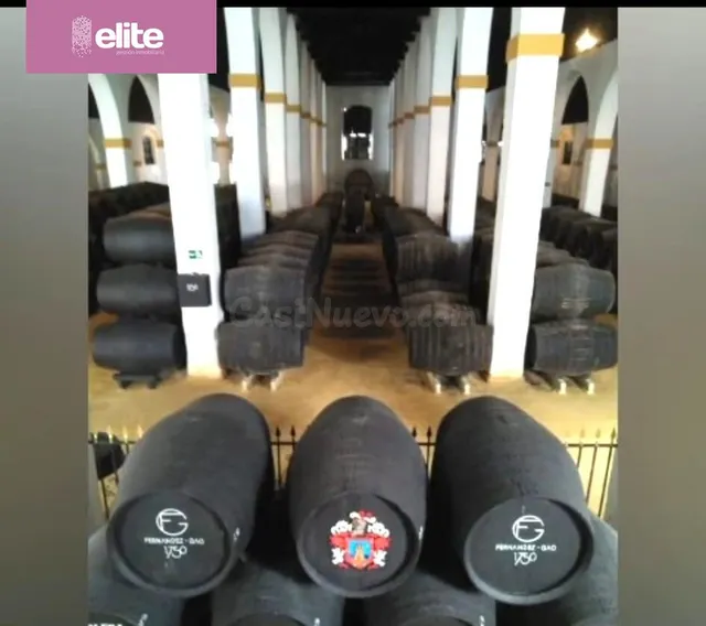 MAGNIFICO CASO DE BODEGA EN EL CENTRO DE JEREZ REFORMADO - foto 4