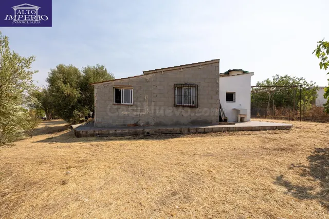 Encanto rústico con casita y olivos en Moraleja de Zafayona 🌿 — 5