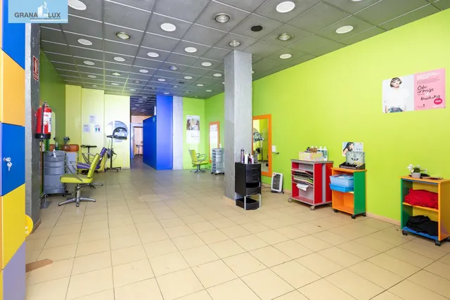 🏢 LOCAL COMERCIAL EN VENTA - ZONA PLAZA DE TOROS, GRANADA — 18