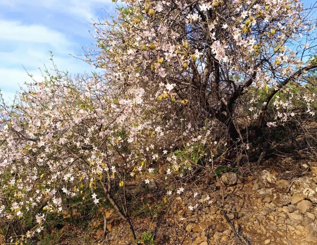 ¡Oportunidad única! Terreno rústico de 2175m2 en venta en Va