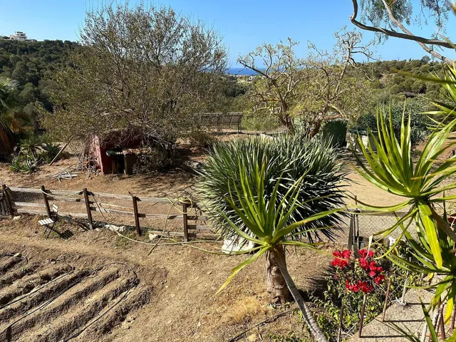 Finca rústica en venta cerca de Cabopino Marbella — 8