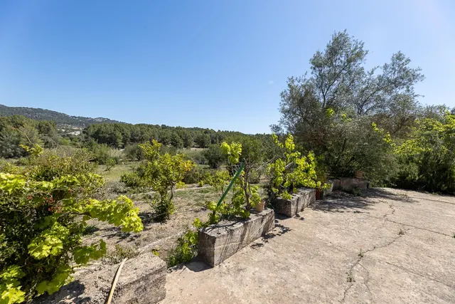 SE VENDE FANTASTICA FINCA RÚSTICA CON 35.000M2 DE TERRENO EN CALVIÀ — 48