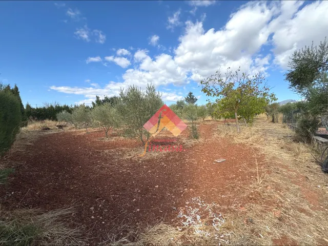 Magnífica casa de campo en entorno natural con piscina — 6