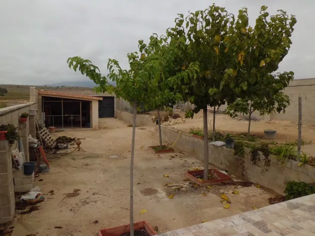 VENTA CASA DE PIEDRA CABALLUSA ( PINOSO) ALICANTE — 10