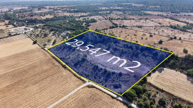 Terreno edificable de 29.547 m2 con vistas despejadas en Pet - foto 2