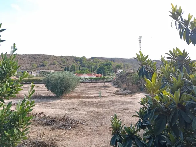 SE VENDE CHALET EN BUEN ESTADO EN MONFORTE DEL CID EN LA ZONA DEL FONT DEL LLOP — 31