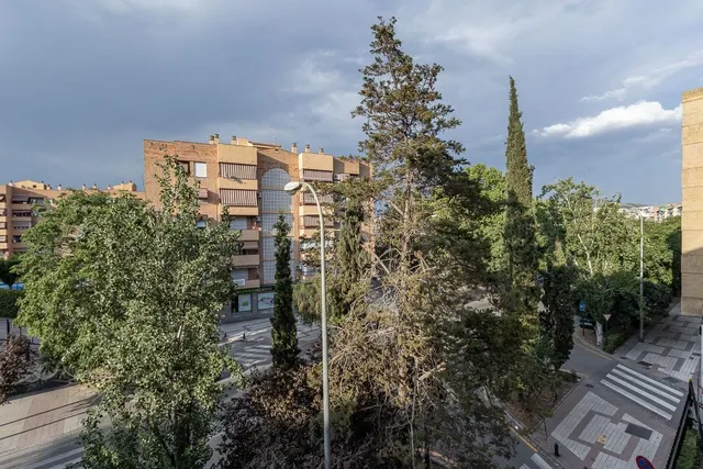 GRAN PISO EN CARRETERA DE MÁLAGA — 41
