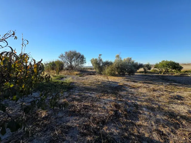 Parcela segregada de 3.353 m/2  en el marquesado – Chiclana de la Frontera — 14