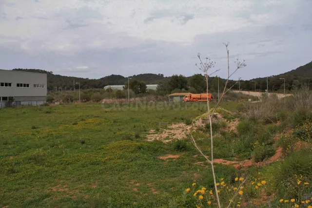 Terreno industrial en venta - Alcudia - foto 3