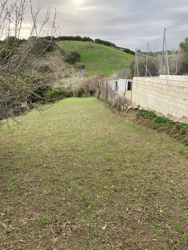 PARCELA MUY CERCA DEL PUEBLO - foto 3