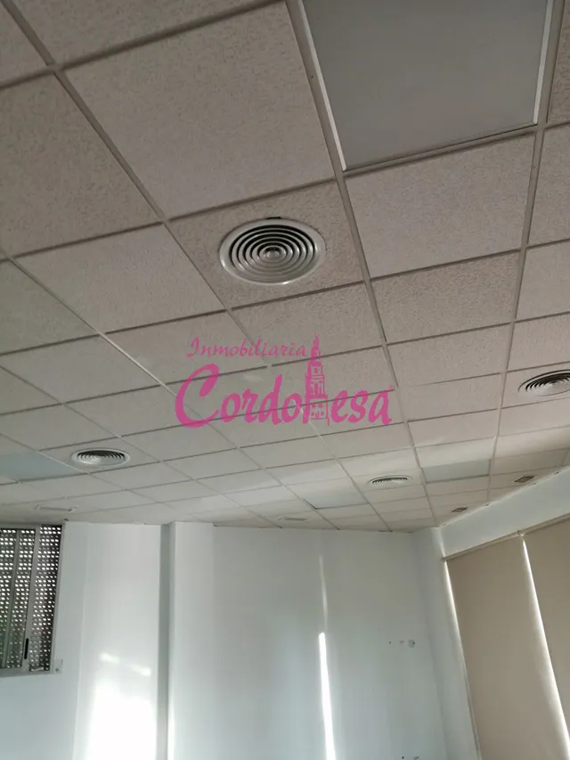 ESTUPENDO LOCAL COMERCIAL EN ALQUILER — 7