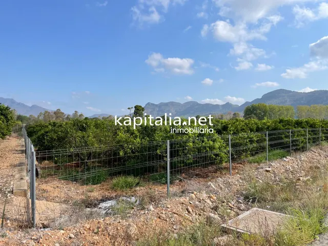 Terreno rural a la venta en Alfauir. - foto 2