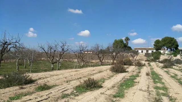 Casa de campo con 4.070m2 de terreno y 88 m2 de vivienda — 5
