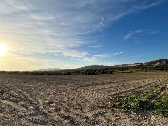 Finca rústica en Porreres en venta - foto 2