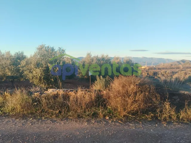 Casa de piedra con 61 hectáreas de terreno — 13
