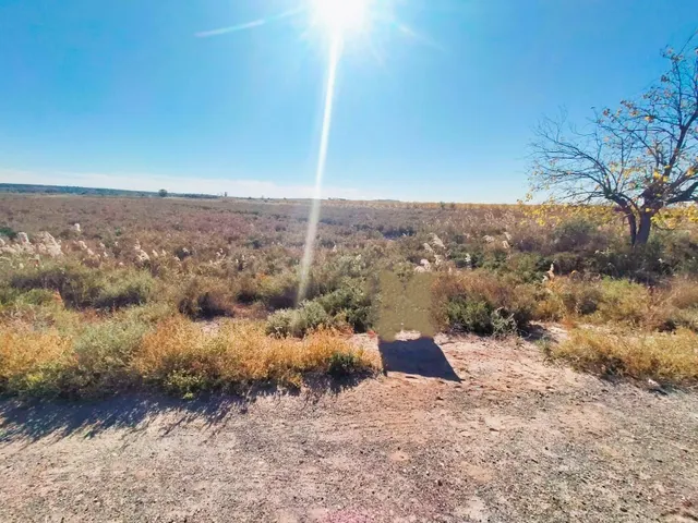 Terreno en Elche para cultivo