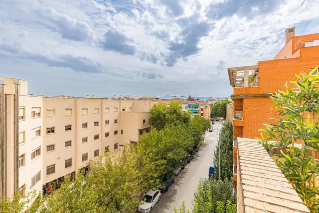 Ático en planta con espectacular terraza en el Ranero - foto 3