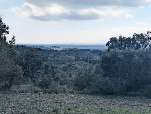 Oportunidad única: Terreno Rústico de 32.000 m2 en un Entorn - foto 2