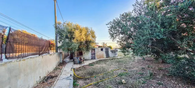 Chalet unifamiliar con árboles frutales en Urb. es Pinaret, Marratxí — 8