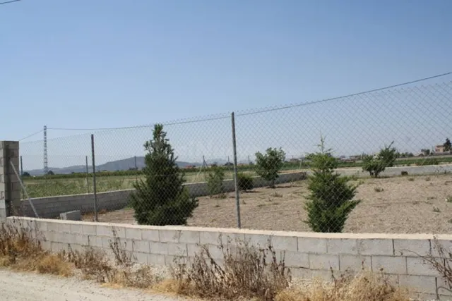 Parcela a las afueras de Orihuela - foto 3