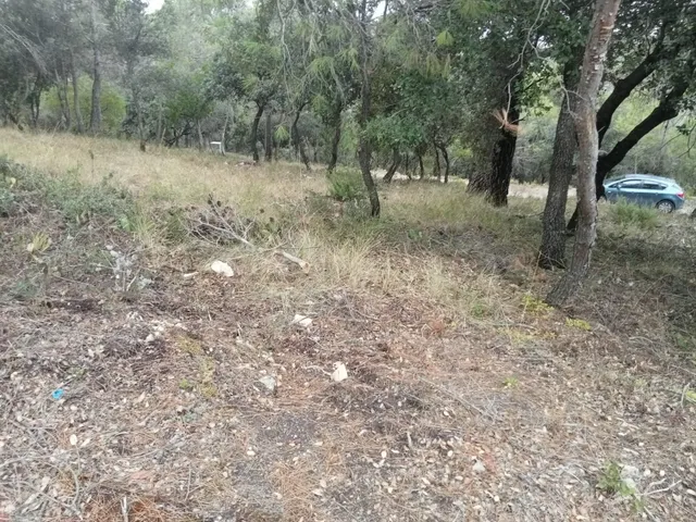 Tegeisa vende parcela de 821m2, con buenas vistas — 4