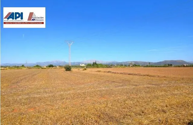 Finca rústica con posibilidad de vivienda en Muro