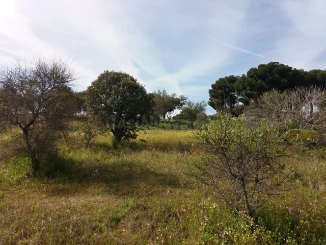 CHALET CON PARCELA - GARROVILLAS, CÁCERES - - foto 5