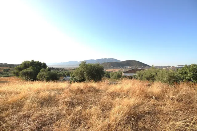 Parcela en venta - South of spain — 8