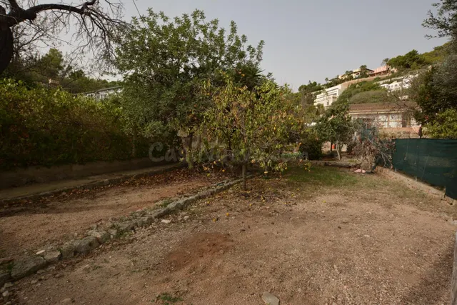 EN VENTA TERRENO URBANO EN GÉNOVA MALLORCA — 4