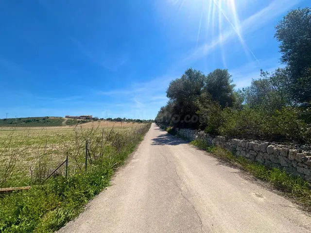 EXCLUSIVA OPORTUNIDAD INMOBILIARIA EN PETRA PARCELA DE ENSUE - foto 5