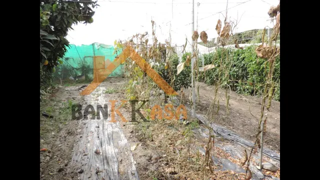SE VENDE CASA CON TERRENO EN CHERÍN (UGÍJAR) PROVINCIA DE GRANADA — 44