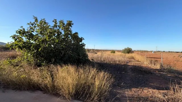 SE VENDE CASA DE CAMPO EN EL PALMERO — 11