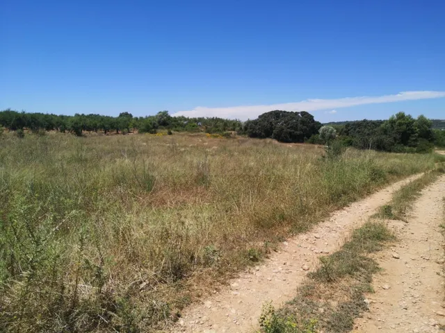 FINCA RUSTICA SECANO — 3