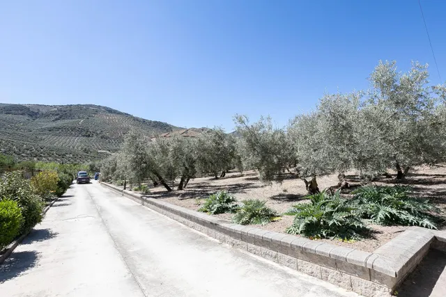 Casa con terreno ubicada en plena naturaleza, a tan solo 2km de Montefrio. — 37