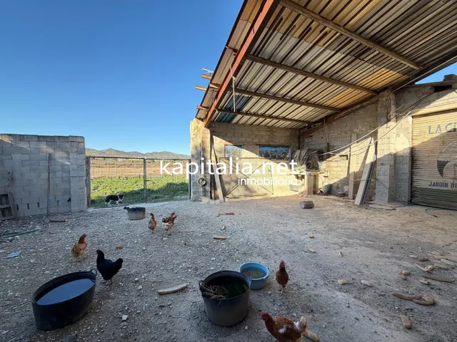 Casa con explotación agrícola en desuso — 25