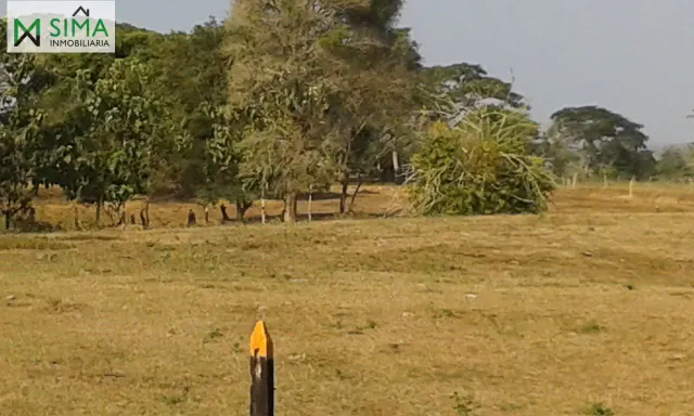 SE VENDE FINCA GANADERA EN EL MUNICIPIO DE MAHATES BOLIVAR — 10
