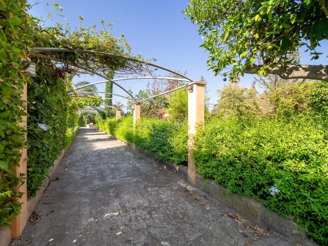 EXCLUSIVA FINCA RÚSTICA EN SECAR DE LA REAL: VIVIENDA CON PI - foto 4