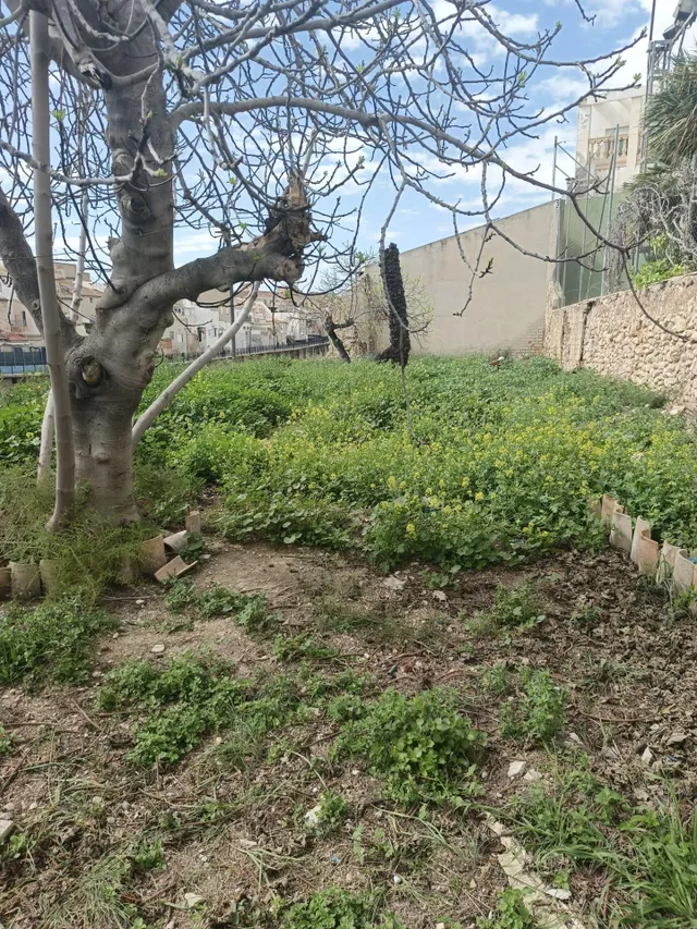 Gran casa en Aspe con inmenso jardín.