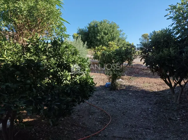 INMOBILIARIA SAN JOSE VENDE ESTUPENDO CHOLLO DE  CHALET EN POZOBLANCO-MONFORTE DEL CID — 32
